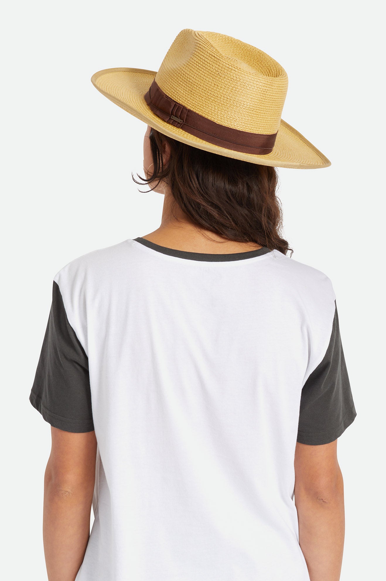 Sombreros Brixton Reno Hombre Marrom | EVQPNU401